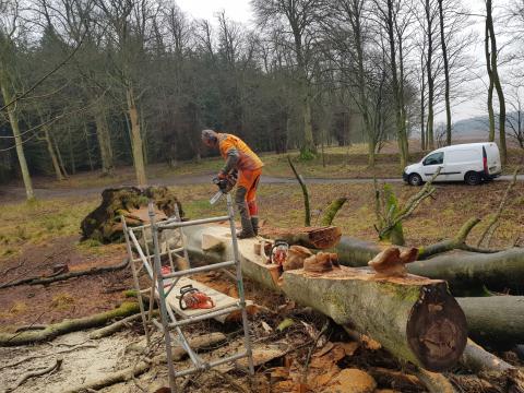 På billedet kan du se, hvordan Præstens Bøg, bliver lavet til et kunstværk