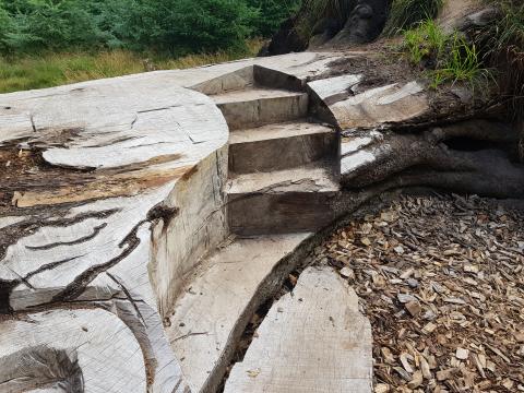 På billedet kan du se, hvordan Præstens Bøg, bliver lavet til et kunstværk