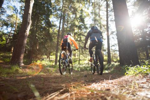 Mountainbikeryttere.jpg
